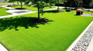 commercial turf solutions